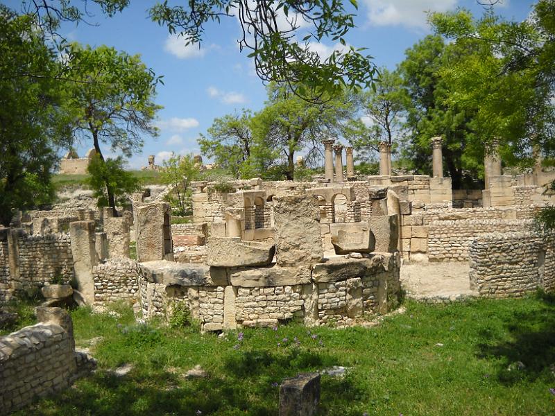 Maktar Nikon 117.jpg